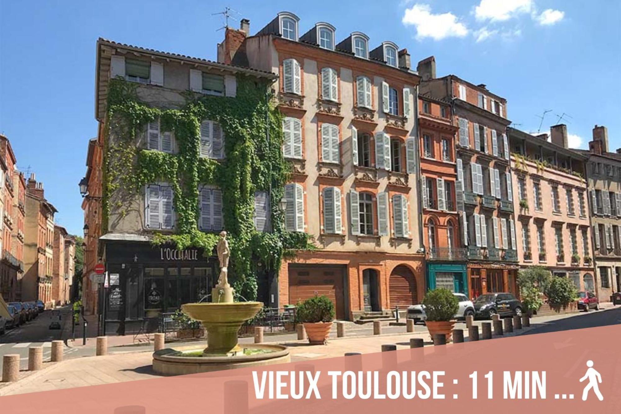 Chartreuse, Clim, Parking, Terrasse Au Calme Leilighet Toulouse Eksteriør bilde