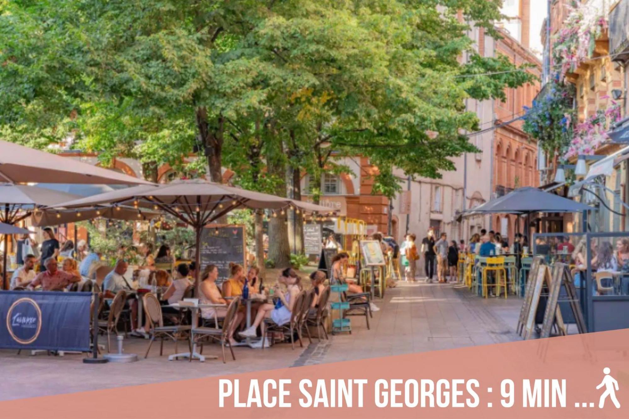 Chartreuse, Clim, Parking, Terrasse Au Calme Leilighet Toulouse Eksteriør bilde